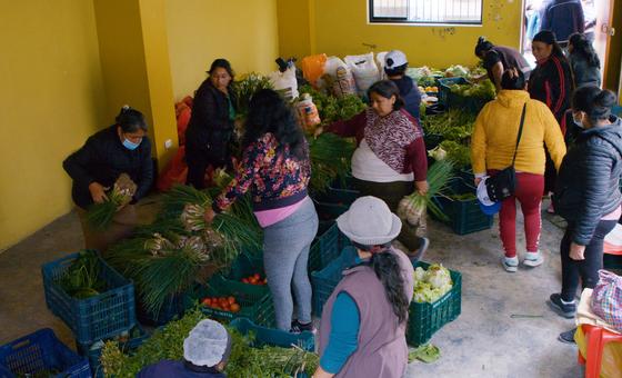 Peru’s food crisis grows amid soaring prices and poverty: FAO